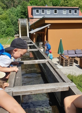 Interessiert bestaunen die Kinder den Wasserlauf am Mühlrad der Bockmühle.