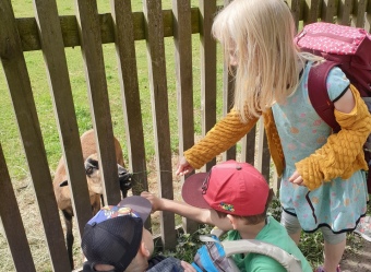 Die Kinder haben Spaß bei der Fütterung der Ziegen.