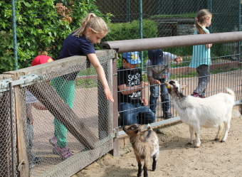 Auf dem Bild ist ein Mädchen im Zoo zu sehen