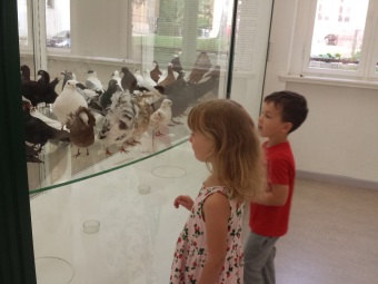 Auf dem Bild sind zwei Kinder im Museum zu sehen