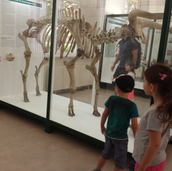 Auf dem Bild sind Kinder im Museum zu sehen