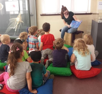 Auf dem Bild sind Kindergartenkinder bei einem Vorlesen im Museum zu sehen