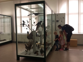 Auf dem Bild sind Kinder mit einem Erzieher im Museum zu sehen